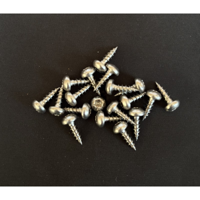Visses bois torx 3x10